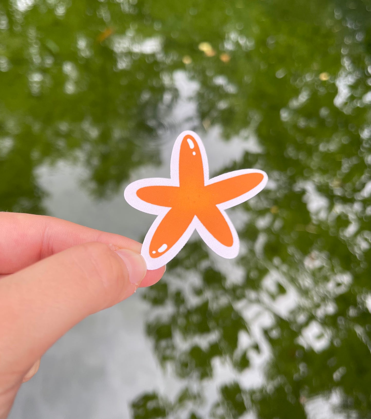 Sea Collection - Starfish Sticker