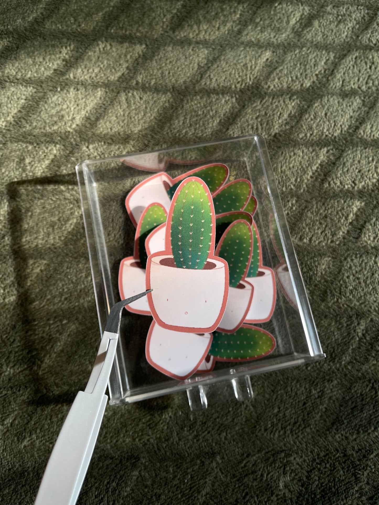 Cactus Collection Sticker Bundle