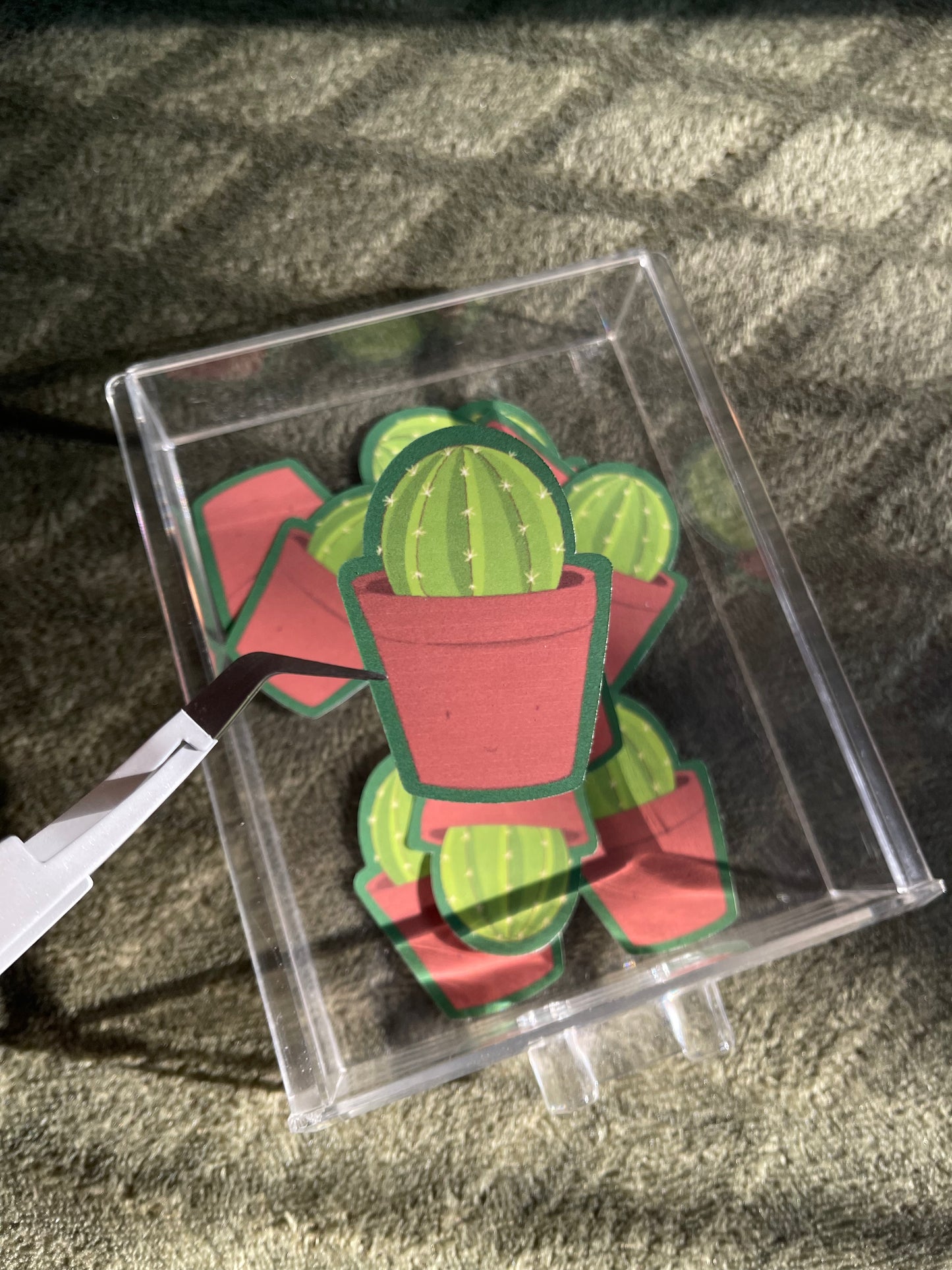 Cactus Collection Sticker Bundle