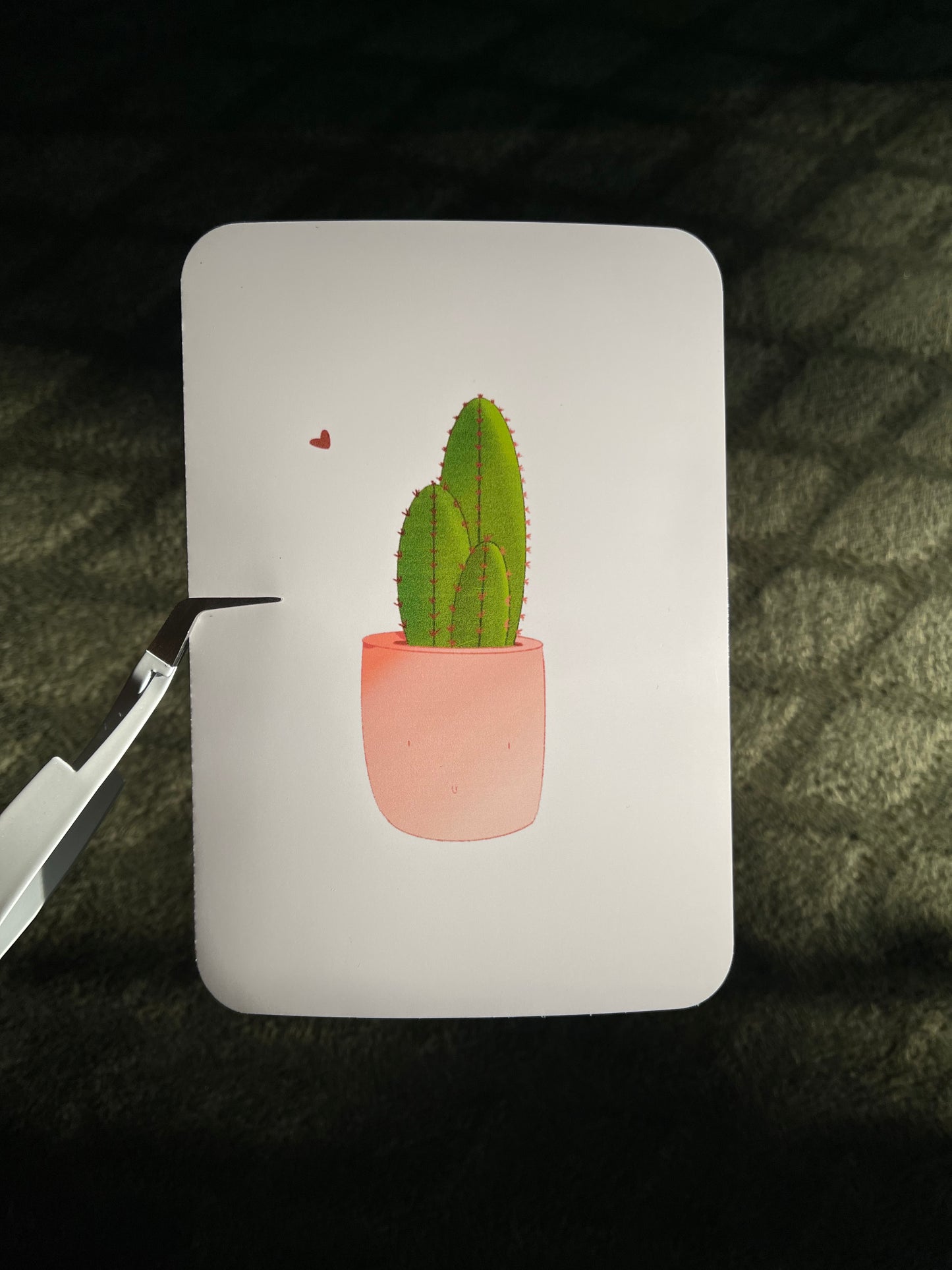 Cactus Collection - Cactus Print