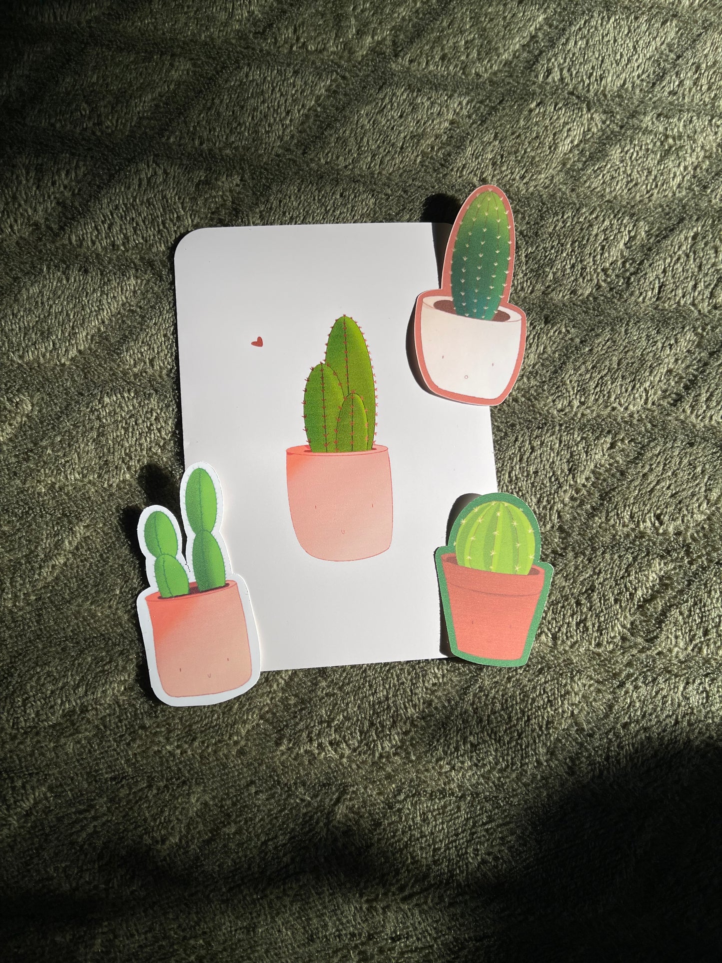 Cactus Collection Valuable Bundle