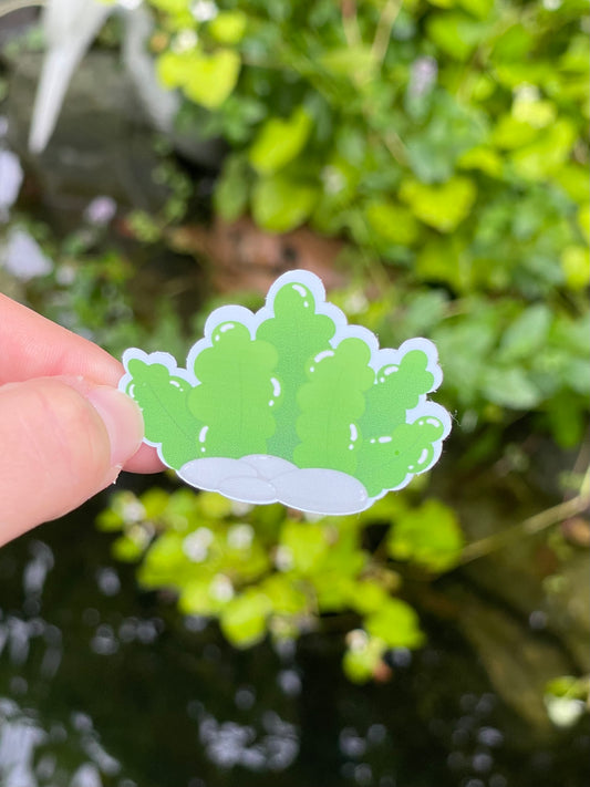 Sea Collection - Seaweed Sticker