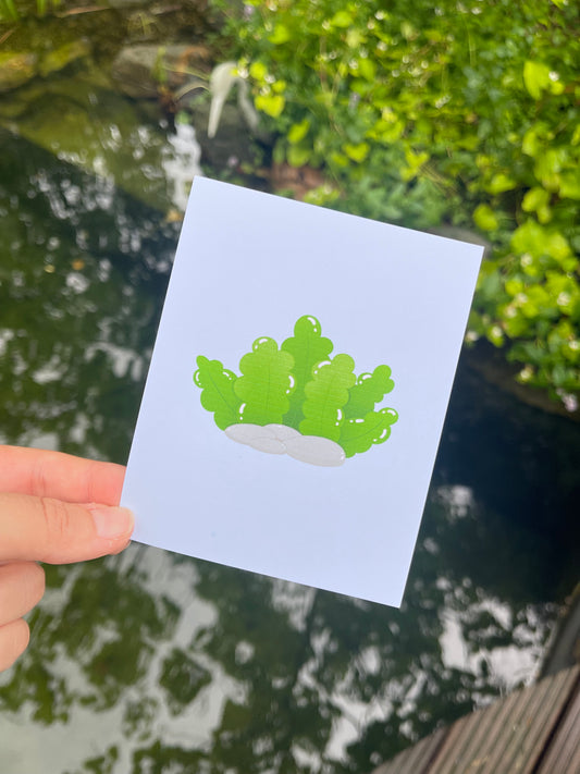 Sea Collection - Seaweed Print