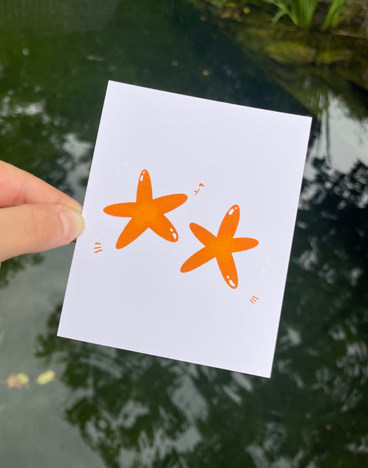 Sea Collection - Starfish Print