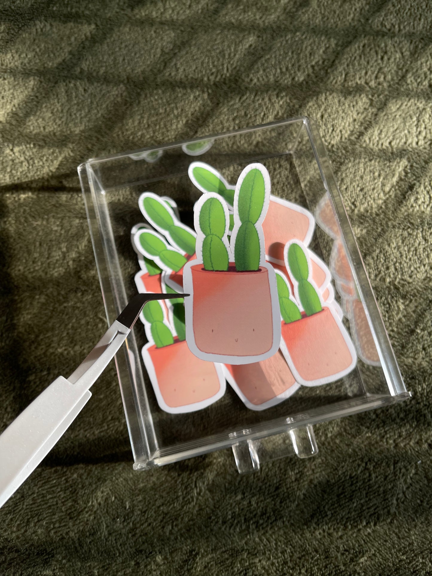 Cactus Collection Sticker Bundle