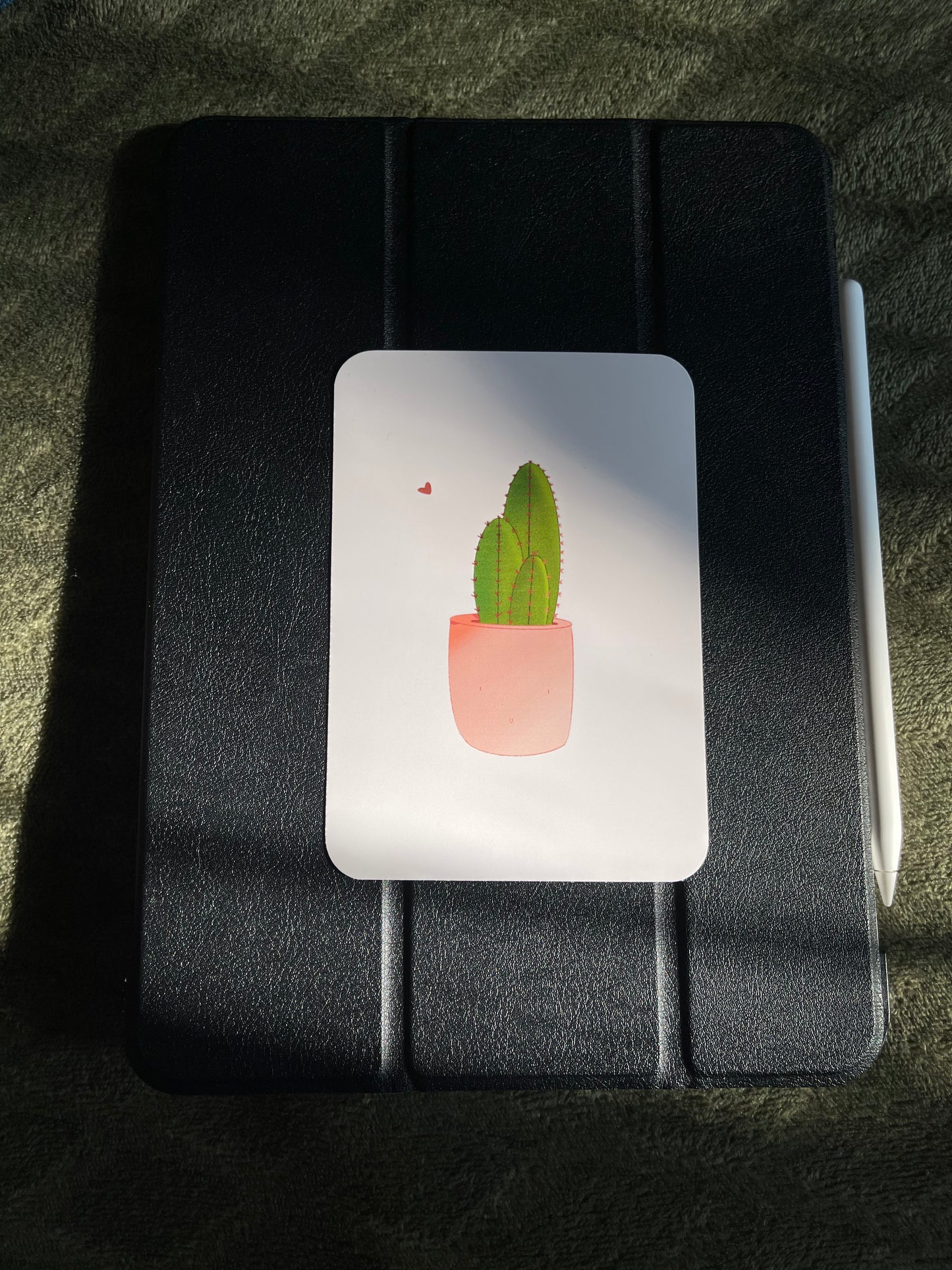 Cactus Collection - Cactus Print
