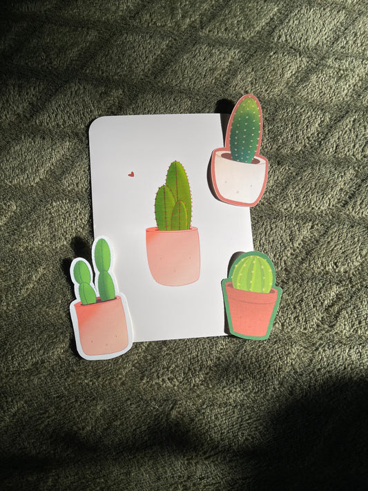 Cactus Collection Valuable Bundle