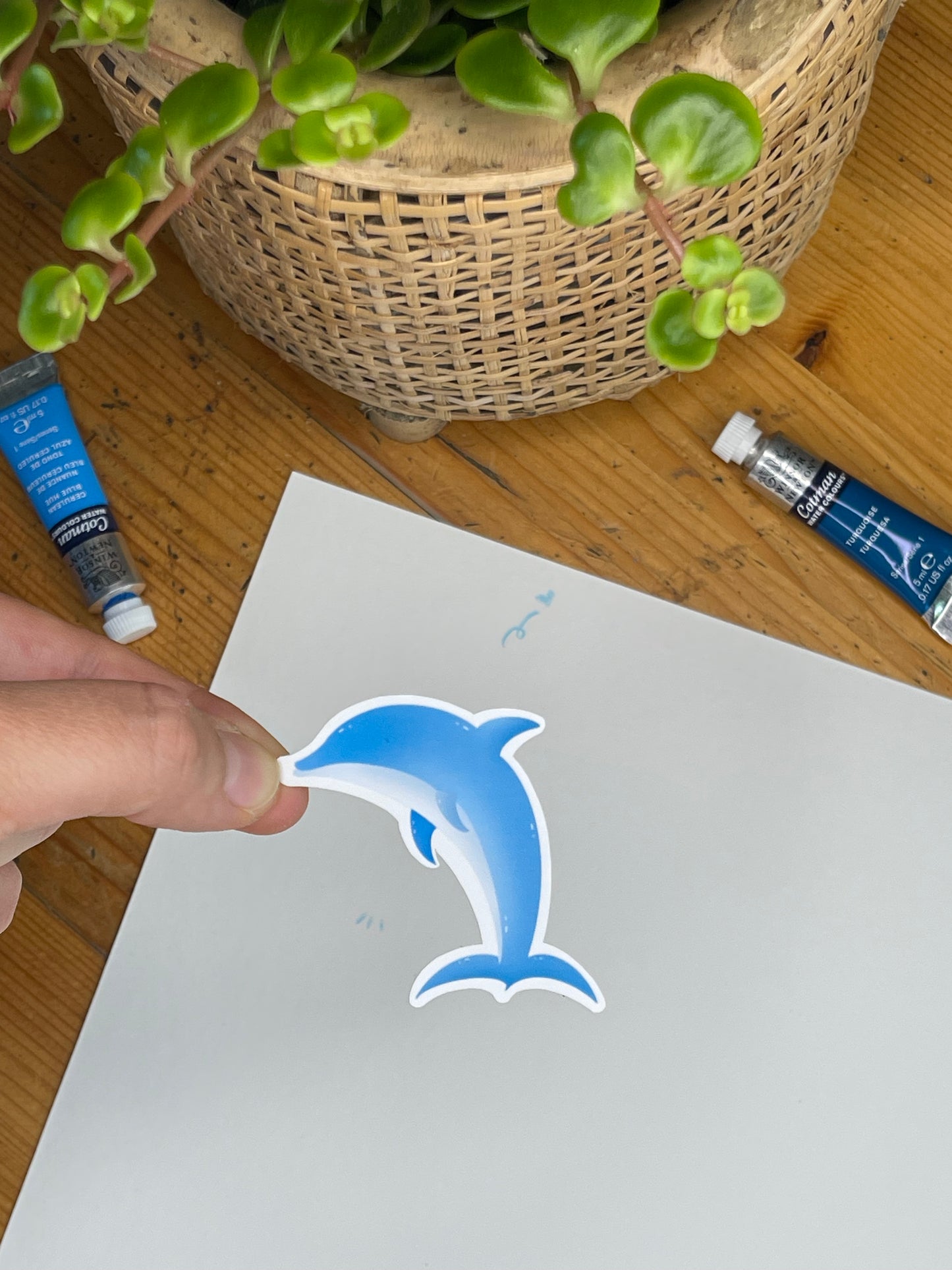 Beach Collection - Dolphin Sticker